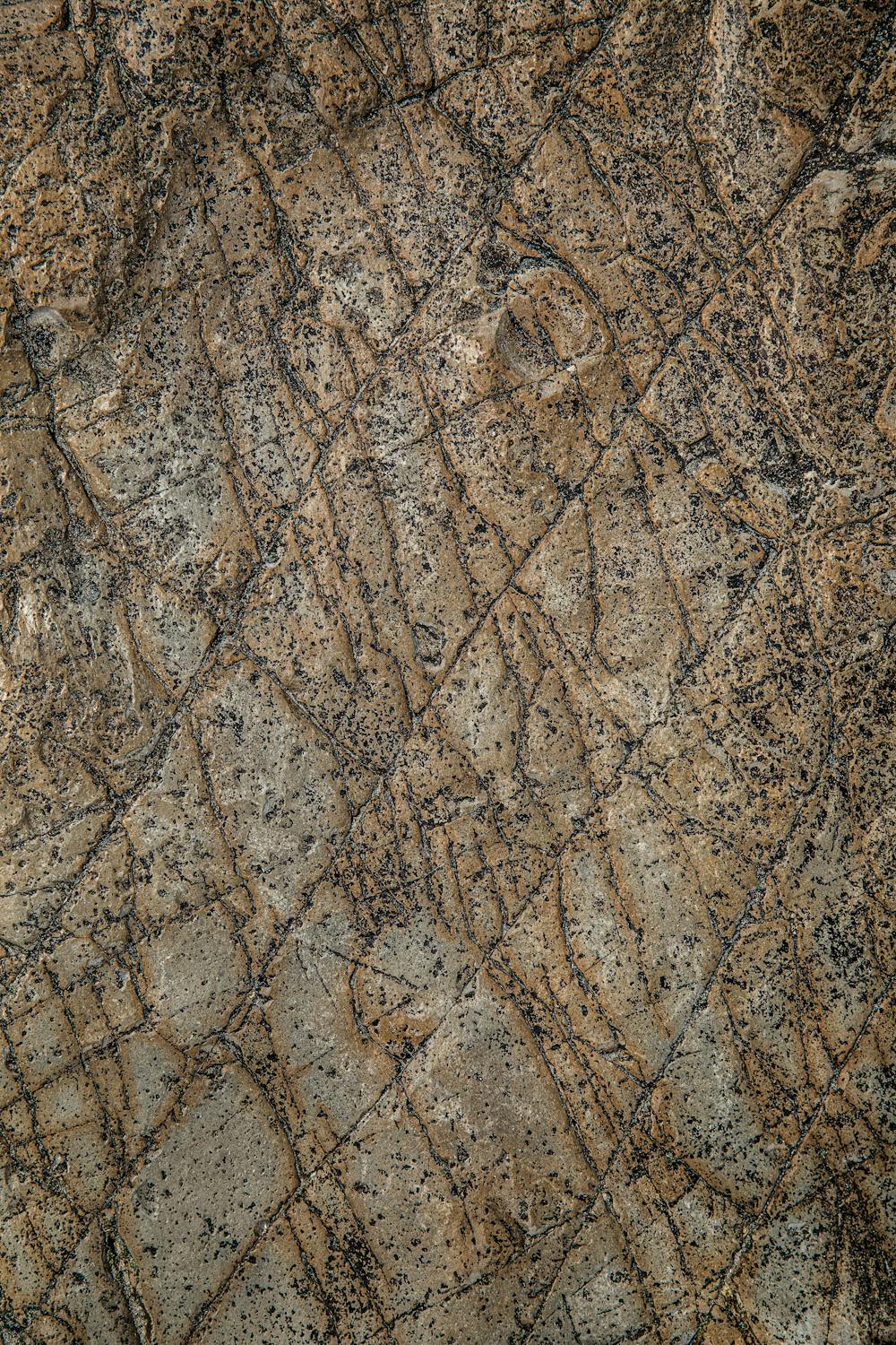 Water pooling on an old concrete surface indicating drainage problems and structural settling